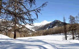 Le lac de Roue l'hiver
