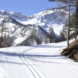 Piste roue 