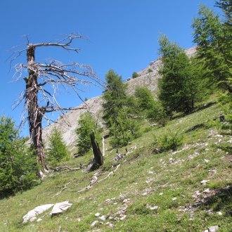 Un versant dans le Queyras