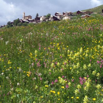 Saint-Véran dans les Hautes Alpes, plus haute commune d'Europe