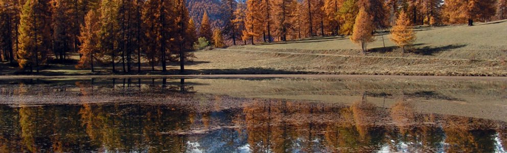 Le lac de Roue l'automne à Arvieux. Au loin le pic de Rochebrune.