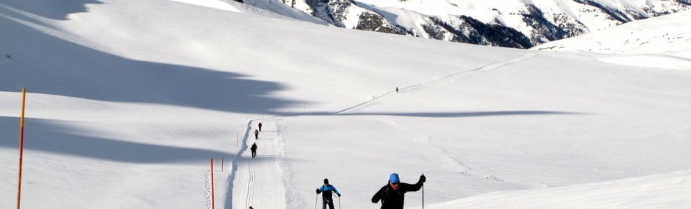 Skating dans le Queyras (Hautes Alpes)