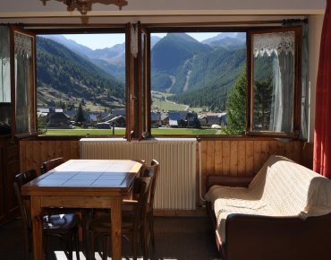 séjour , vue sur village / pistes