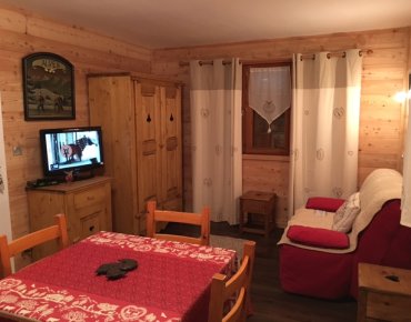 Appartement de 27 M2 2 étoiles, situé au rez de chaussée d'un chalet avec jardin privatif