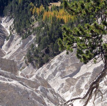 Le ravin de la Ruine Blanche au dessus de Montbardon