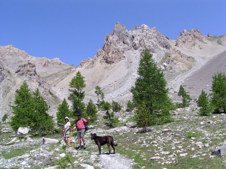 La montée au col du Lauzon (Arvieux) dans une ambiance bucolique