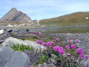 Le lac d'Asti et la Crête de la Taillante à Ristolas