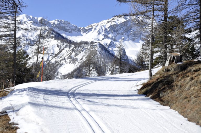Piste roue
